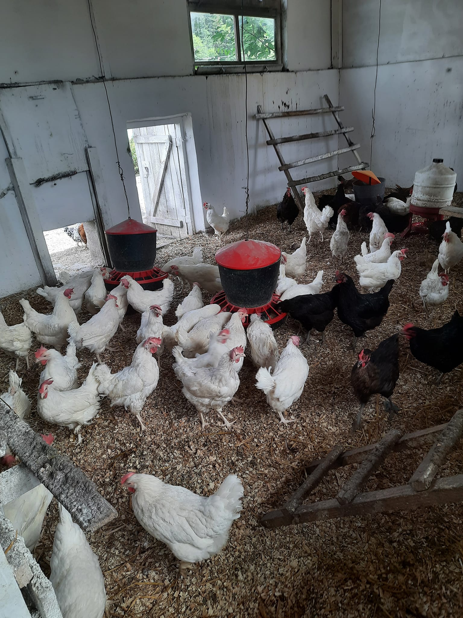 Inkubator Przetwórstwa