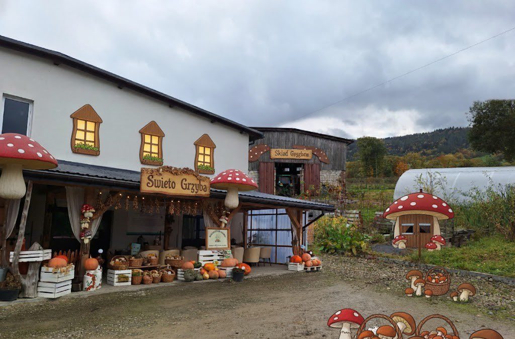 Święto Grzyba